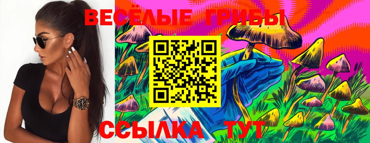 Галлюциногенные грибы прущие грибы Усть-Джегута